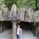 지례초등학교 이미지