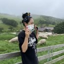 양아목장 이미지