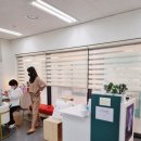라푼젤속눈썹 이미지