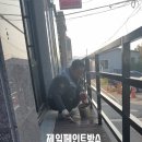 세븐일레븐 개화중앙점 이미지