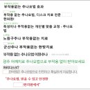 바른부동산연구소