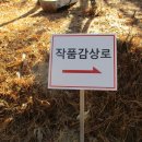 강경젓갈시장 이미지