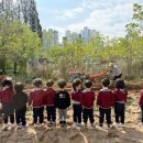 프렌즈유치원 이미지