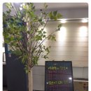 맑음 on 스킨&바디