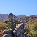 남산제일봉ㆍ의동마을은행길 이미지