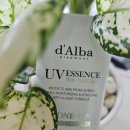 클린업(UP)크리닝 | 달바 클린 티트리 리포좀 그린 톤업 선크림 솔직 후기