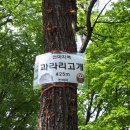 마치5 이미지