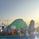 퀸애견 | 대형견 강아지랑 배타고 제주도 여행 목포 퀸제누비아 2 스위트룸 애견동반 후기