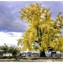 신당1리 이미지