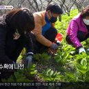 김정호 농장 이미지