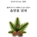 다래분식 이미지
