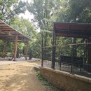 서울 서초 서리풀공원, 몽마르뜨공원 둘레길 트레킹 #4 이미지