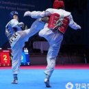 도원태권도체육관 네이버블로그
