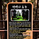 늘솔길 이미지