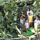 당산농원 이미지