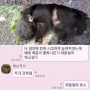 아,귀여워 이미지