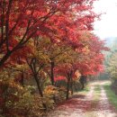 느린미학 이미지