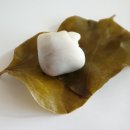 나무뿌리한의원 이미지