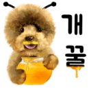 디스크 독 연구소 이미지