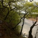 서경민박 이미지