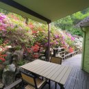 가평 숲속의 계곡 펜션 이미지