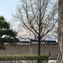 금거북 | 다소 거북했던 국립현대미술관 데이미언 허스트전 솔직 후기 (예약, 주차, 관람료 꿀팁)