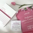 튤립세탁소 | 라브아 튤립 앤 프리지아향 섬유유연제&amp;드라이시트 후기