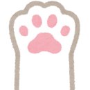 (주)아이티정보기술 이미지