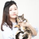 치이즈스튜디오 이미지