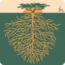 보이지 않는 것과 이미지