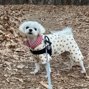 솔샘 동물병원 이미지