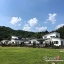 미스터로빈 | 포천 쓰담쓰담 펜션 / 반려견 동반 가능 / 개별운동장 / 수영장