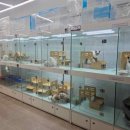 펫엔글라이더 이미지