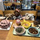 삐약네 새참 이미지