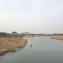 바둑공원 이미지