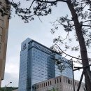 대학천사약국 이미지