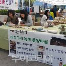 버섯구지체험마을 이미지