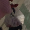 김고미김밥 이미지