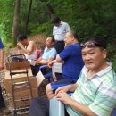 숲속송정농원 이미지