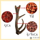 아산튼튼한의원 네이버블로그
