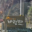 별밤 | 강릉 대관령 애견동반 가능한 바람부리별밤캠핑장 후기