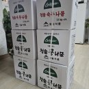 이래향 이미지