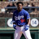 다저스호프 이미지