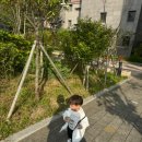 명지 맛집 제주 흑돼지 숯불구이 오름 방문 후기 (가족 외식)