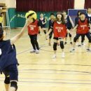 놀이체육 이미지