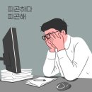 SL 휘트니스 | [청량리 헬스장] 홈트로 충분하다는 말, 몸 만들어 본 사람은 안 합니다.