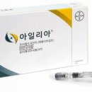 아일리아 네이버블로그