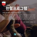 한국고양이혈액센터 | [인터뷰] 한국고양이혈액센터 김형준 원장