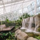 영흥수목원 전시온실 이미지