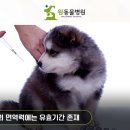 덕계 원 동물병원 이미지